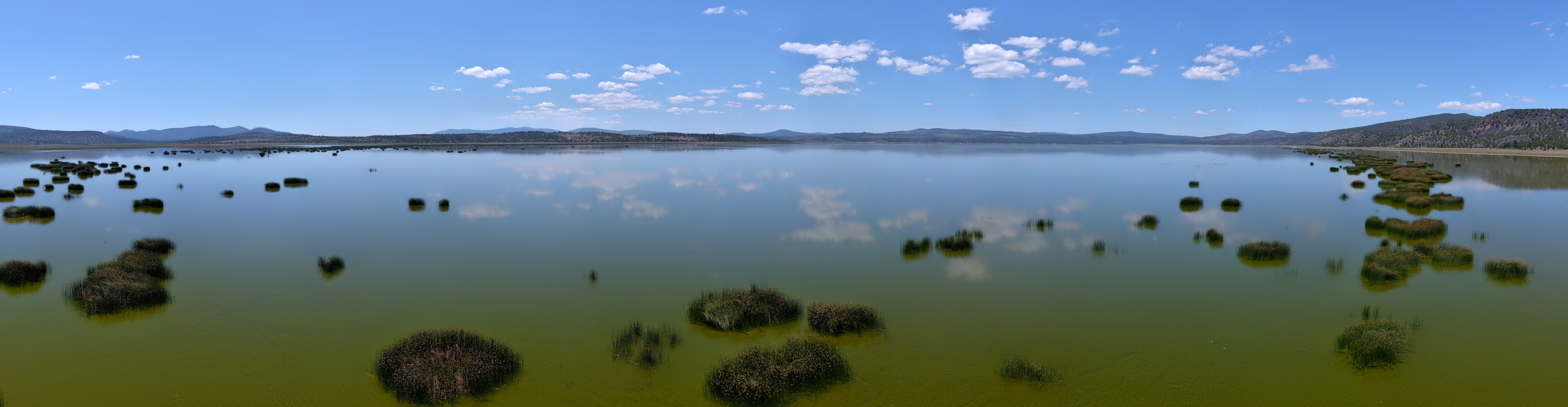 pano